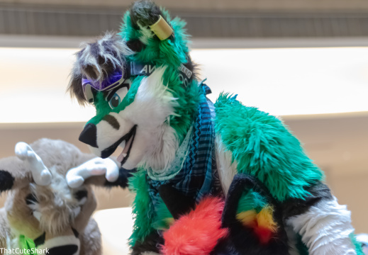 FWA 2023