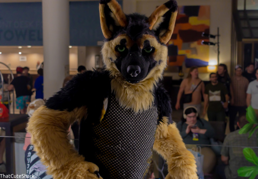 Furrydelphia 2023