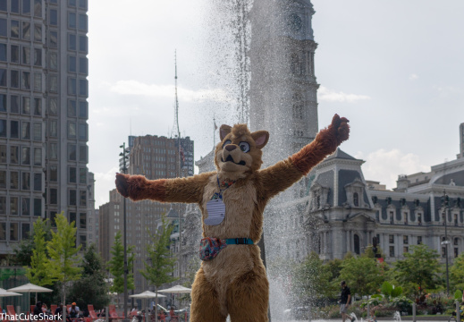 IMG 2578