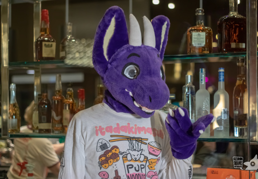Furpoc 2023