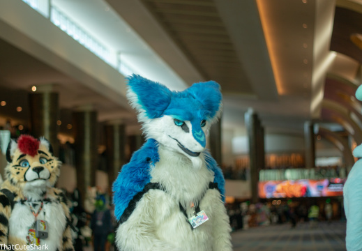 Megaplex 2023