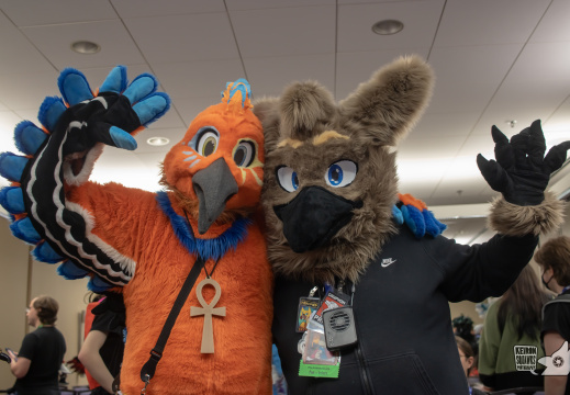 MFF 2023