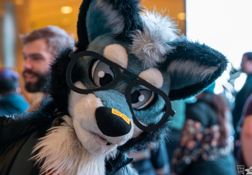 ANE 2024